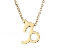 FCXDMY 12 Signs Constellation Pendant Necklace - 14K Gold Color 12 Constellations Necklace Oroscope Astrology Birthday Gifts For Women Jewelry ui