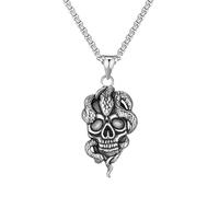 FCXDMY necklace Gothic Vintage Snake Winding Skull Pendant Necklaces For Men Punk Hip Hop Steel Charm Party Jewelry Gifts, Sterling Silver, No Gemstone