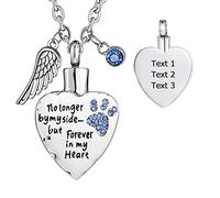 FCZDQ Pet Paw Stainless Steel Cremation Jewelry No Longer by My Side but Forever in My Heart Urn Necklace for Ashes Blue Customized