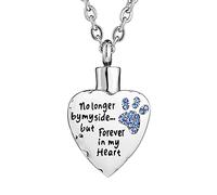FCZDQ Pet Paw Stainless Steel Cremation Jewelry No Longer by My Side but Forever in My Heart Urn Necklace for Ashes Blue