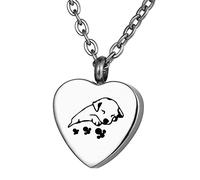 FCZDQ Sleeping Dog Memorial Keepsake Stainless Steel Cremation Jewelry for Ashes Urn Pendant, Stainless Steel, No Gemstone