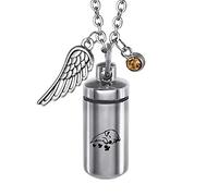 FCZDQ Sleeping Dog Memorial Keepsake Stainless Steel Cremation Jewelry for Ashes Urn Pendant, Stainless Steel, No Gemstone