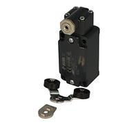 FD 541 | FD541 | PIZZATO STANDARD LIMIT SWITCH WITH BIASED IN-LINE FORKED ROLLER ACTUATOR WITH 1NO + 1NC CONTACTS