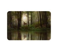 Fdfekgvplp Welcome Mat,Door Mat,Front Doormats,Deer by The River Print Indoor Outdoor Entrance Low-Profile Floor Rugs for Patio, 24x16in