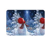 Fdfekgvplp Welcome Mat,Door Mat,Front Doormats,Snow Days Distant Lights Print Indoor Outdoor Entrance Low-Profile Floor Rugs for Patio, 24x16in