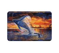 Fdfekgvplp Welcome Mat,Door Mat,Front Doormats,Whale Sunset Print Indoor Outdoor Entrance Low-Profile Floor Rugs for Patio, 24x16in