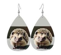 Fdgbnm Cute Hedgehog Leather Earring.Double-Sided Print Leather Drop Earrings.Lightweight, Hypoallergenic, Festive & Gift Ready.