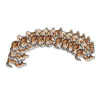 Fdit 12Pcs Tigerkin Embroidery Patches Cloth DIY Iron On Sew On Patches with Material for DIY Clothing Bags Hats Decoration