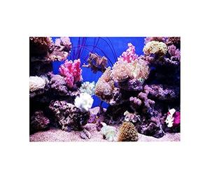 Fdit 3D Underwater Fish Tank Background Poster, Self-Adhesive PVC Aquarium Backdrop Mural, Coral Reef Decorative Wallpaper for Fish Tank, Living Room, Sofa TV Background Photo Wall Decor (61x41cm)