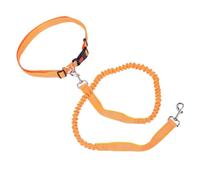 Fdit Dog Leash, Gentle Buffering System Nylon Rope Leash with Reflective Strip and Pull Resist Lock Buckle for Walking Medium Large Dogs (Orange Green)