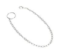 Fdit Great Stainless Steel Training Papers for Golden Sun Monk Keck, Alexander Dove, Gray Loro and More Sustainable Ankle Ring for Pet Training