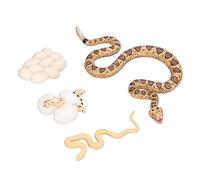 Fdit Snake Life Cycle Model, Promotes Early Learning and Cognitive Skills in Children, Green Material Protects the Environment