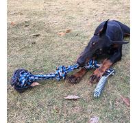 Fdit Spring Pole Dog Rope Toy, Stainless Steel Dog Tug Toy 300 Lbs with Hanging Rope for Outdoor Exercise (Blue)