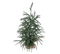 Fdit Tabletop Xmas Tree Mini Christmas Tree Artificial Pine Tree PET Unbreakable Retardant with Cloth Base for Holiday Home Decor Centerpiece (60CM)