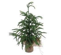 Fdit Tabletop Xmas Tree Mini Christmas Tree Artificial Pine Tree PET Unbreakable Retardant with Cloth Base for Holiday Home Decor Centerpiece (45CM)
