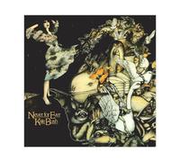 FDKLK Singer Kate Bush Never for Ever The Album Cover Poster Canvas Poster Wall Art Decor Print Picture Paintings for Living Room Bedroom Decoration 12x12inch(30x30cm)