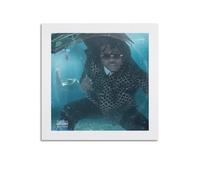 FDRPMHC Gunna Drip Or Drown 2 Album Cover Canvas Wall Art Decor Living Room Modern Family Bedroom 28x28inch(70x70cm) Unframe-style