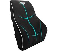 Feagar Lumbar Pillows Back Support Cushions Memory Foam Pillows for Car Seat Office Chair Home Sofa or Couch, Low Back Pillow Chair Cushions with Extension Strap and Carry Bag, Black