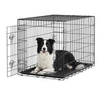 Feandrea Dog Crate, Single Door Folding Steel Cage, 107 x 70.6 x 70.6 cm | Puppy Pen Indoor, PP Plastic Removable Tray, Ink Black, Dack Collection PPD013BH01