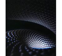 Fear Inoculum