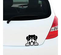 Fear7FX Peeking ROTTWEILER Dog Vinyl Decal Sticker, Car Window Bumper Sticker, Pet Dog Puppy, Caravan Sticker, 180mm