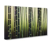 Fearless Bamboo Forest Canvas Print | Gallery Wrapped 30mm Frame Wall Art | 30x20 inches | Ready to Hang | Contemporary Floral Picture | Living Room Bedroom Lounge Office
