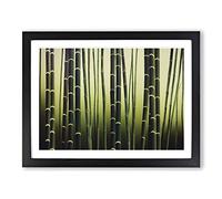Fearless Bamboo Forest Framed Print | A4 Black Framed Wall Art | Ready to Hang | Modern Landscape Picture | Living Room Bedroom Lounge Office