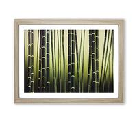 Fearless Bamboo Forest Framed Print | A4 Oak Framed Wall Art | Ready to Hang | Modern Landscape Picture | Living Room Bedroom Lounge Office