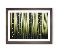 Fearless Bamboo Forest Framed Print | A4 Walnut Framed Wall Art | Ready to Hang | Modern Landscape Picture | Living Room Bedroom Lounge Office