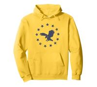 Fearless Eagle - Thirteen Stars of American Freedom Pullover Hoodie