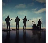 Fearless Flyers - The Fearless Flyers V