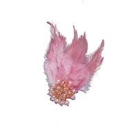 Feather Brooch, Asudaro Corsage Crystal Feather Head Hairpin for Attending Speeches, Proms, Performance Competitions, Events, Large Feather Pins, one size, Feather/Alloy/Artificial Crystal