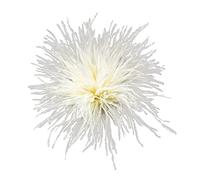 Feather Brooch Feathers Corsages Cloth Decorations Ostrich Feather Material Brooch Pins Feather Lapel Pins for Woman Men
