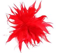 Feather Corsage Personality Trendy Colorful Artificial Feather Brooch For Women Men Host Suit Decoration Pin for Wedding Party Dance Banquet(Color-02)