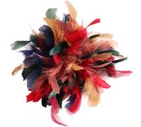 Feather Corsage Personality Trendy Colorful Artificial Feather Brooch For Women Men Host Suit Decoration Pin for Wedding Party Dance Banquet(Color-01)