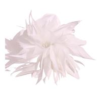 Feather Corsage Personality Trendy Colorful Artificial Feather Brooch For Women Men Host Suit Decoration Pin for Wedding Party Dance Banquet(Color-04)