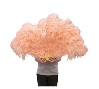 Feather Dance Fan 13 Bone Ostrich Feathers Fan Carnival Party Wedding Celebration Belly Dance Show DIY Decoration Mint Green Plumes Fan(Champagne,1PC)