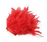 Feather Fringe, Tail Feather Ribbon, Fringe,5 Yards Feathers Trims Color DIY Wedding Dress Decoration Sewing Plumes Crafts(Red)
