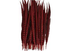 Feather Fringe, Tail Feather Ribbon, Fringe,5Pcs/Lot Lady Feathers for Crafts for Decoration Party Carnival Accessories(Red)
