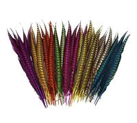 Feather Fringe, Tail Feather Ribbon, Fringe,Multi-Color Combination Craft Feathers Accessories(Stained Red)