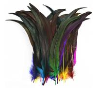 Feather Fringe Trim， 100 Pcs Rooster Feathers Multicolor 25-35cm Crafts Decoration(Mixed Colors,25-30cm 10-12inch)