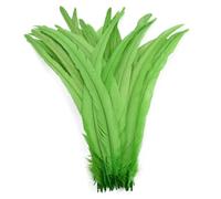 Feather Fringe Trim， 50 Pcs Rooster Feathers Multicolor 25-45cm DIY Decoration Fly Tying Materials(Apple Gn,14-16inch 35-40cm)