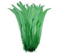 Feather Fringe Trim， 50 Pcs Rooster Feathers Multicolor 25-45cm DIY Decoration Fly Tying Materials(Grass Gn,10-12inch 25-30cm)
