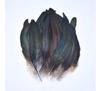 Feather Fringe Trim， 50 pcs Rooster Pheasant Feathers for Fly Tying Dream Catcher Multicolor 15-20cm(Natural Color)