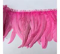 Feather Fringe Trim， Pheasant Feather Trim Ribbon Multicolor 12-14 Inch 1-10 Meters for Crafts Decoration(Pink,1 Meters)