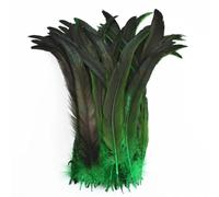 Feather Fringe Trim， Rooster Feathers 50 Pcs Multicolor Multiple Sizes Fly Tying Decoration(Gn,30-35cm 12-14inch)