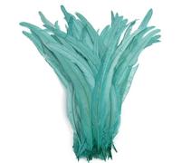 Feather Fringe Trim， Rooster Feathers Multicolor 25-45 cm 50 pcs(Mint Gn,10-12inch 25-30cm)