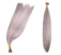 Feather Hair Extensions,Feather Hair Extension Colored Feather Hair Extensions Synthetic 16inch 20Pieces/Pack Blue Colour Pink For Women Fake Hair (Color : 6, Size : 16inches-40cm)(13)