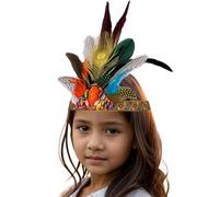 Feather Headpiece for Women Girls, Women's Carnival Feather Headpieces Sequin Headdress for Wedding, Masquerade Party, Cosplay, Showgirl Headbands Accessories Rio Carnival Costume Pale Blue Maroon