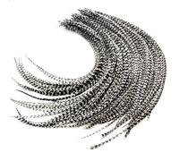 Feather Headz Beautiful Real Feathers: 21 Grey Feather Hair Extensions. 100% Real Rooster Feathers that can be Curled, Straightened and Blow-dried